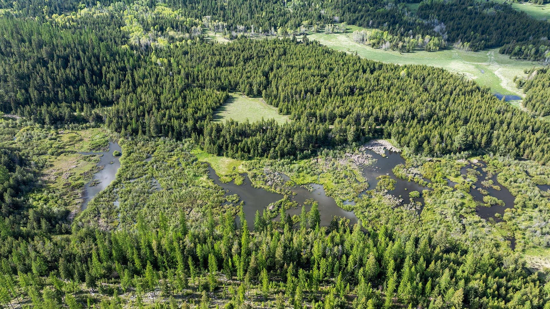 timber hills montana riley creek basin