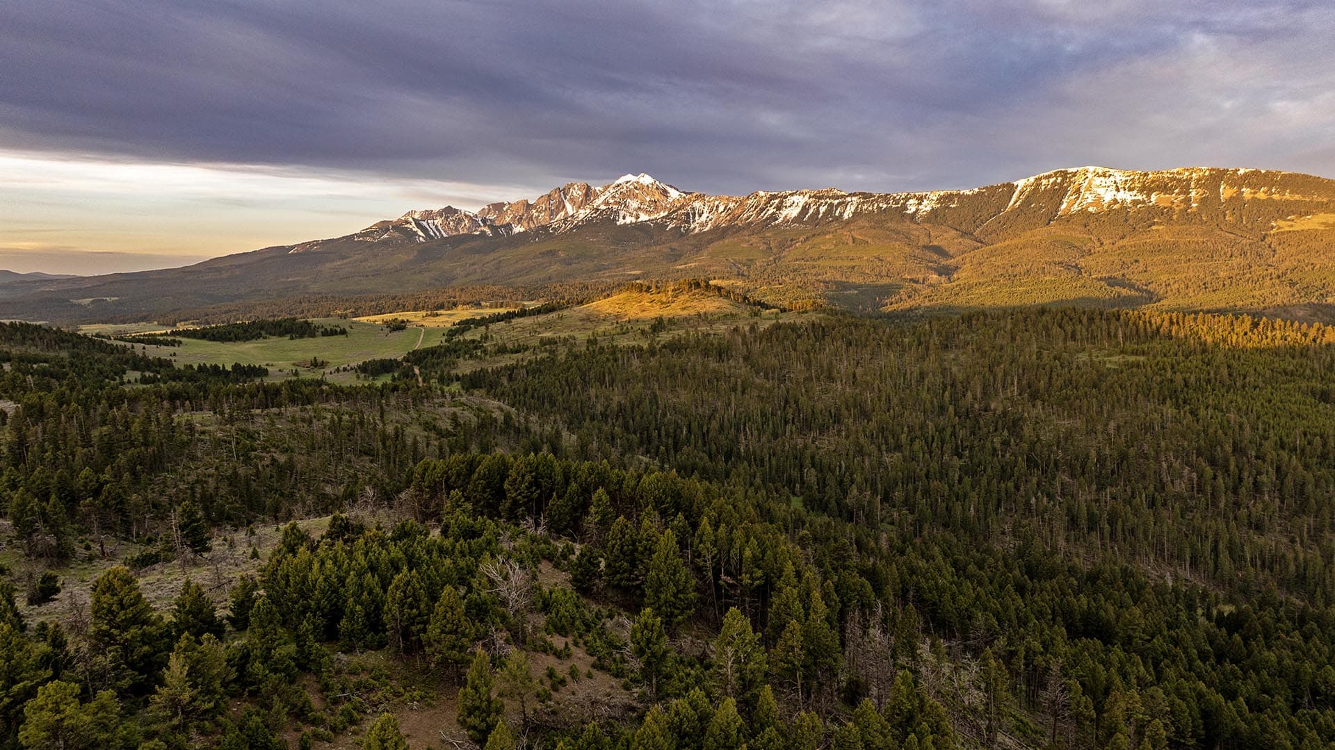 timber land with mountain views for sale montana east bridger preserve