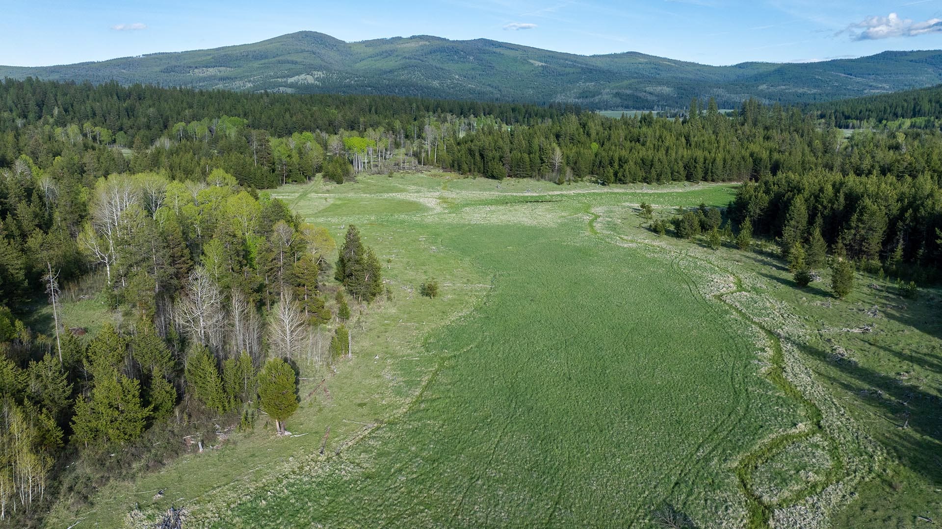 timber valley montana riley creek basin