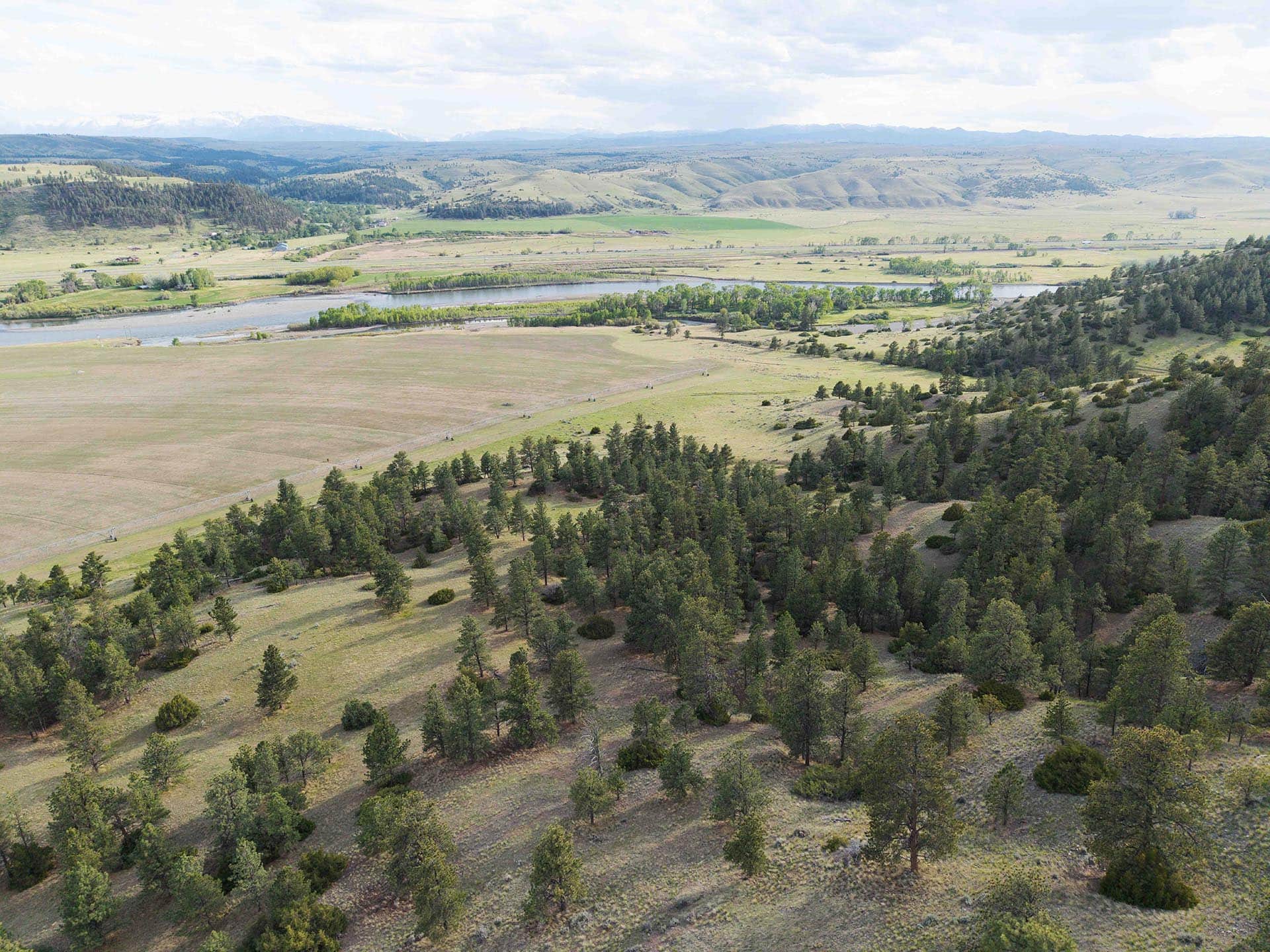 timbered hillside with river view montana springtime ranch on the yellowstone river