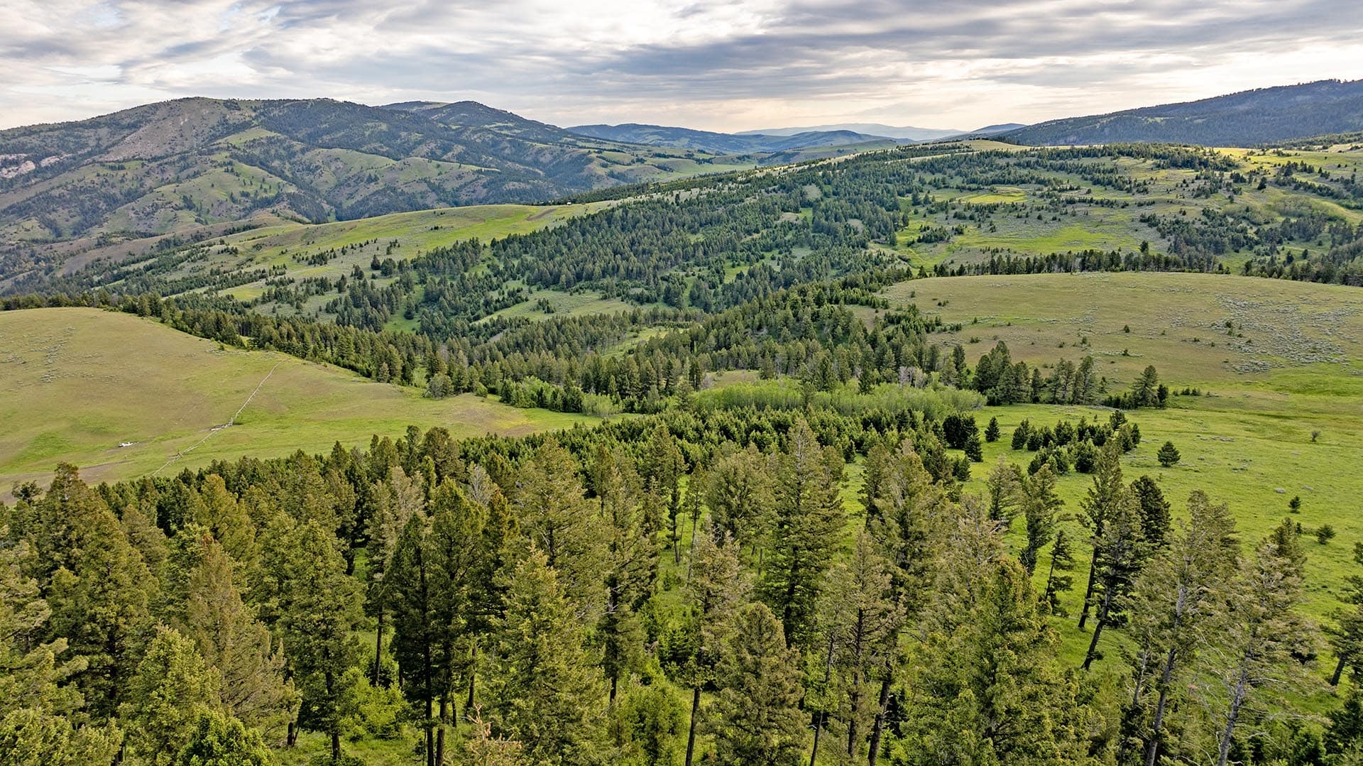 timbered hunting land for sale montana north bridger hunting retreat