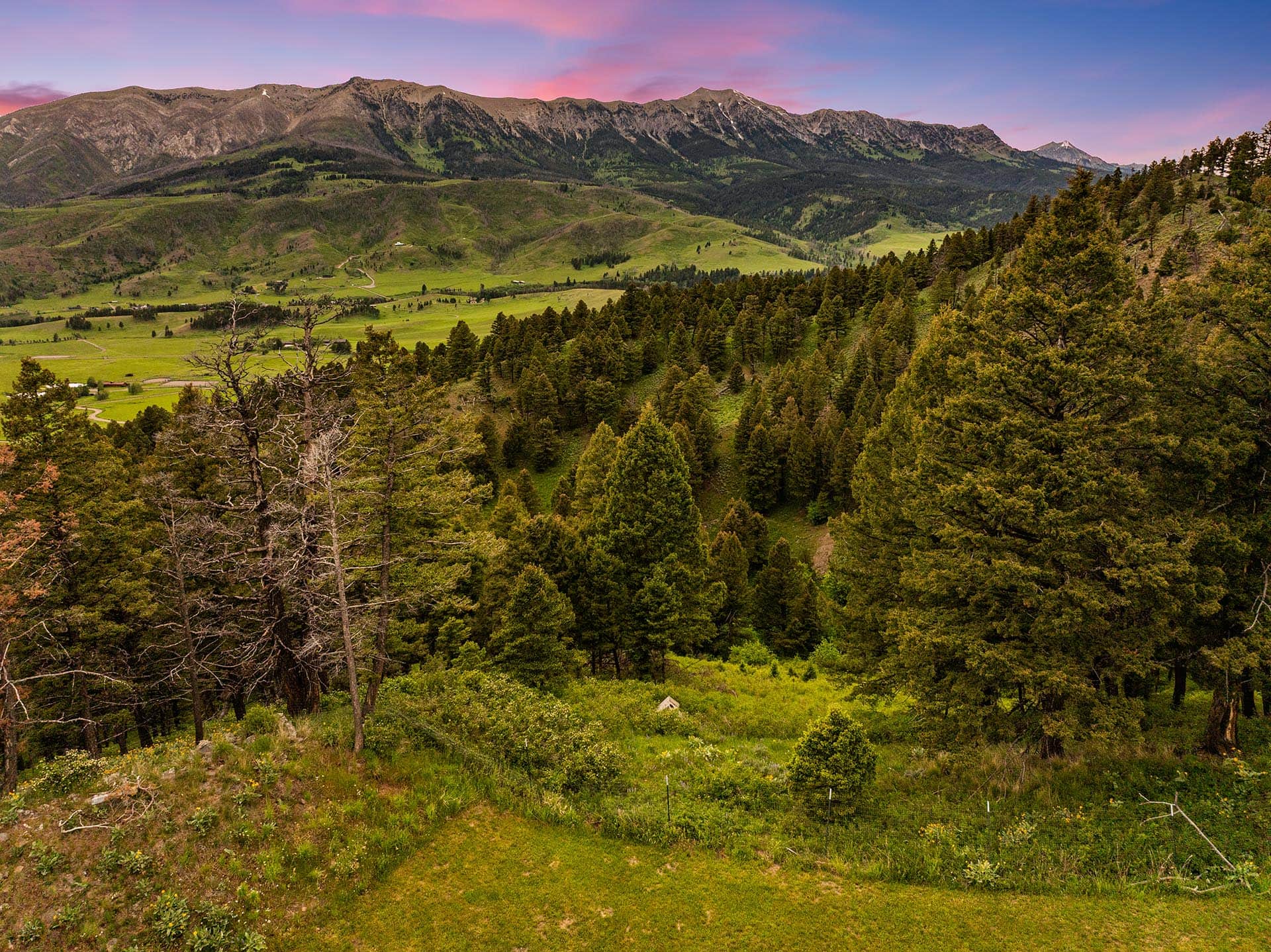 timbered land for sale montana lennon ranch