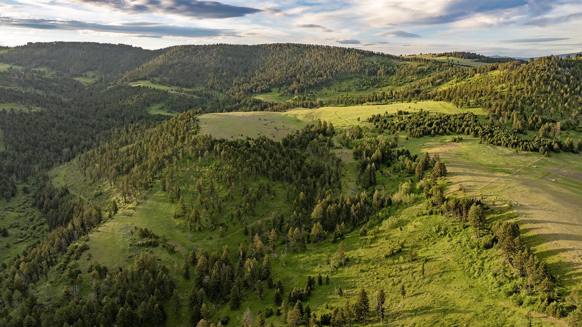 timbered meadows hunting property montana north bridger hunting retreat