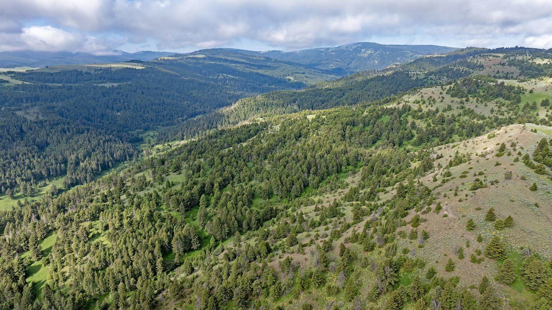 timbered mountain acreage for sale montana north bridger hunting retreat