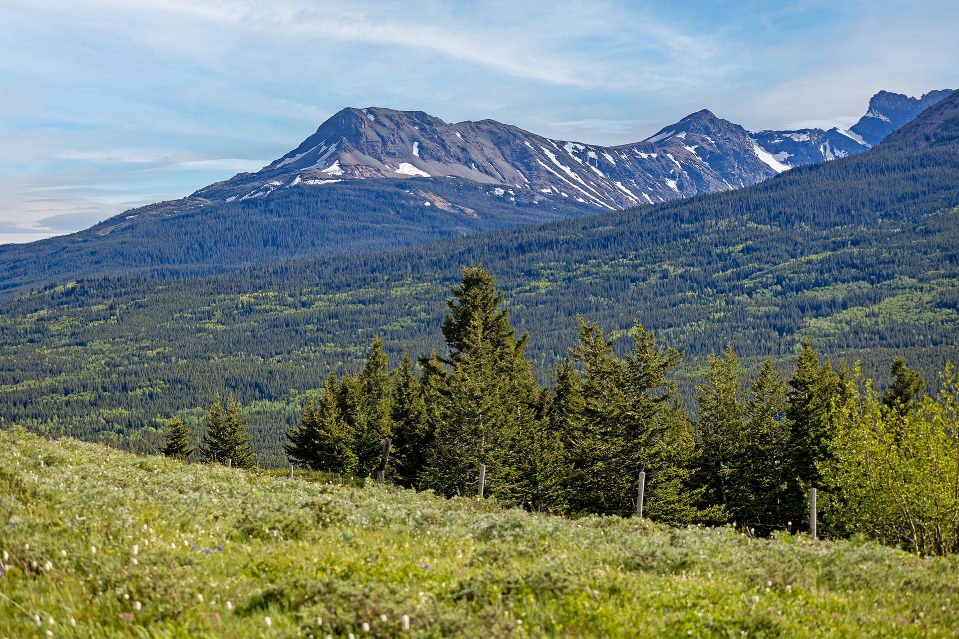 timbered mountain acreage for sale montana two medicine legacy ranch
