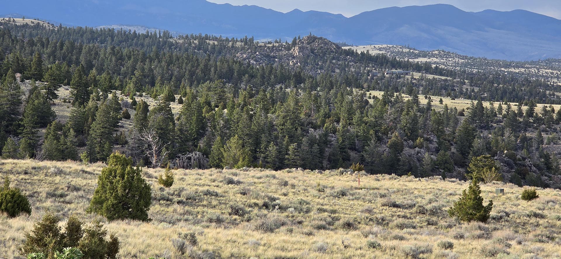 timbered mountain land montana little fish creek lookout
