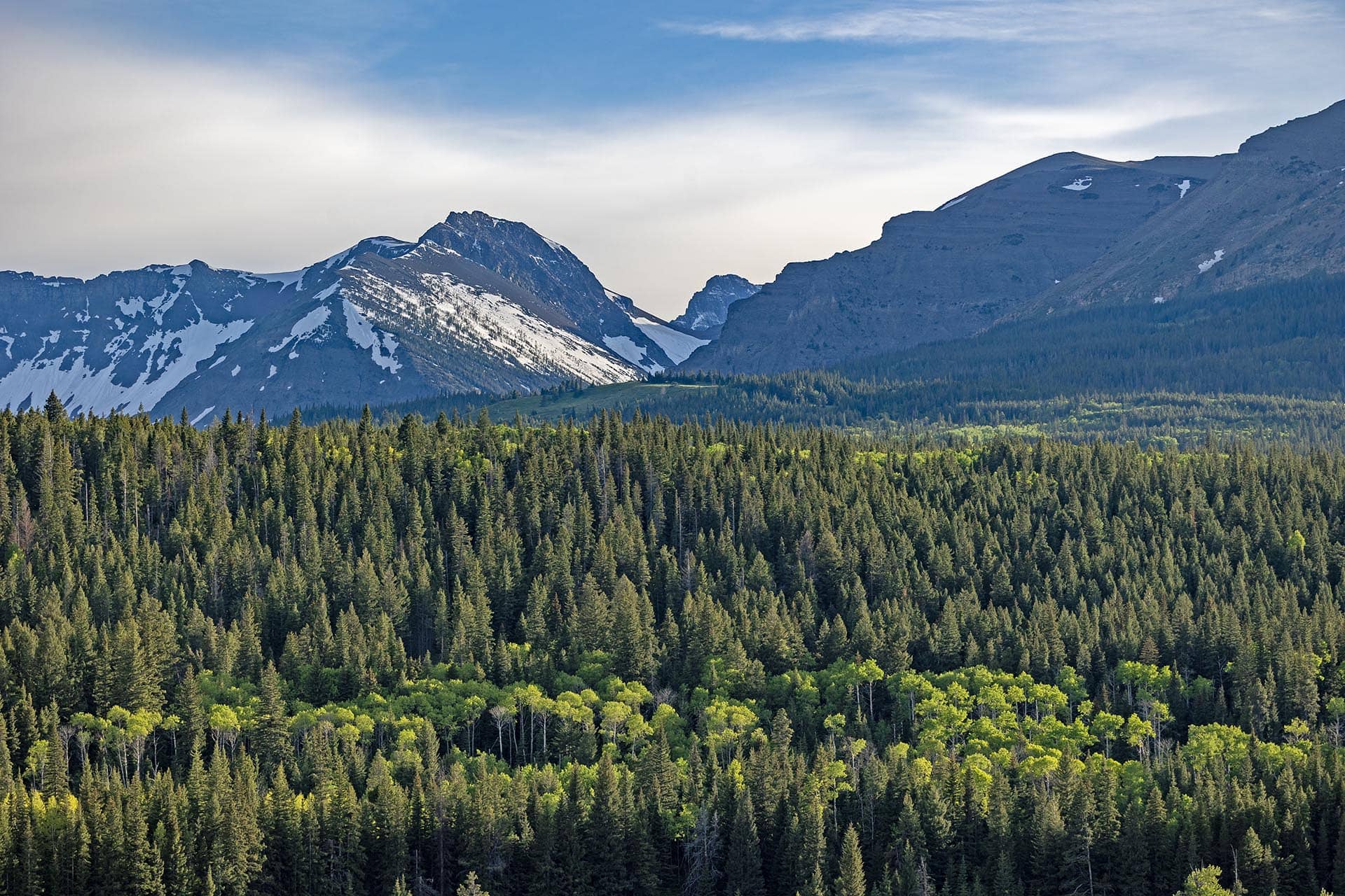 timbered mountain view land for sale montana two medicine legacy ranch