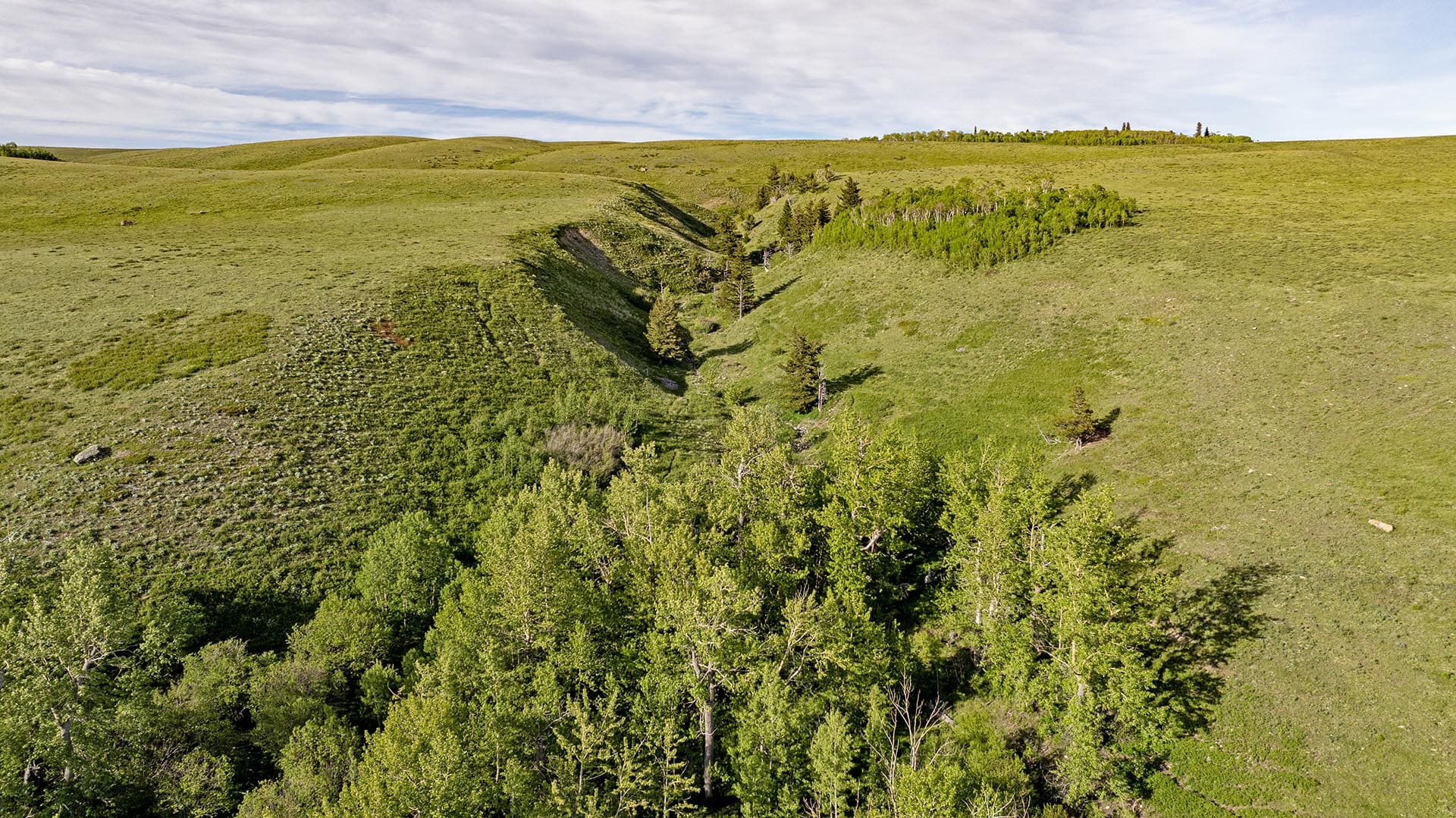 timbered ravine recreational land for sale montana two medicine legacy ranch