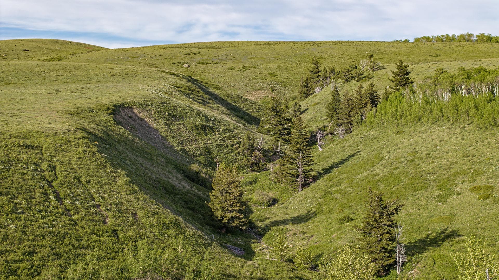 treed gulch large acreage for sale montana two medicine legacy ranch