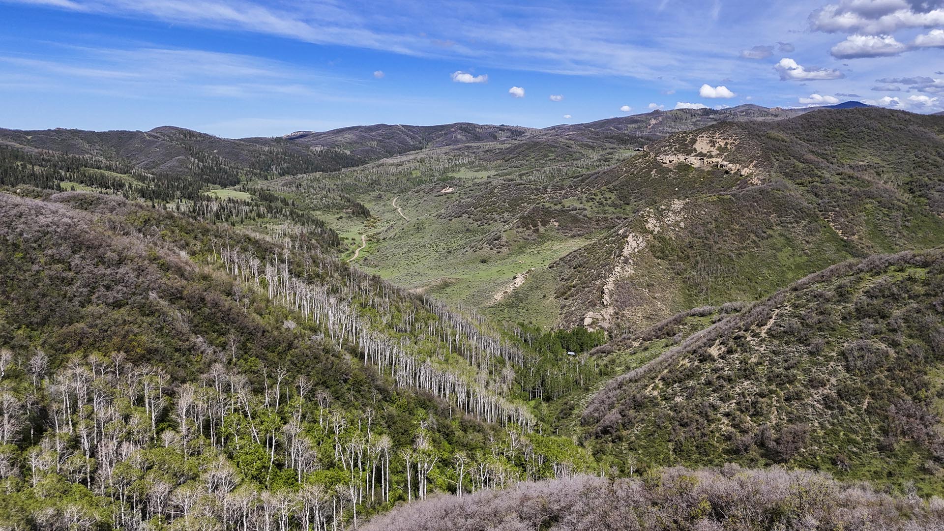 vail vrbo colorado doc utterback elk ranch