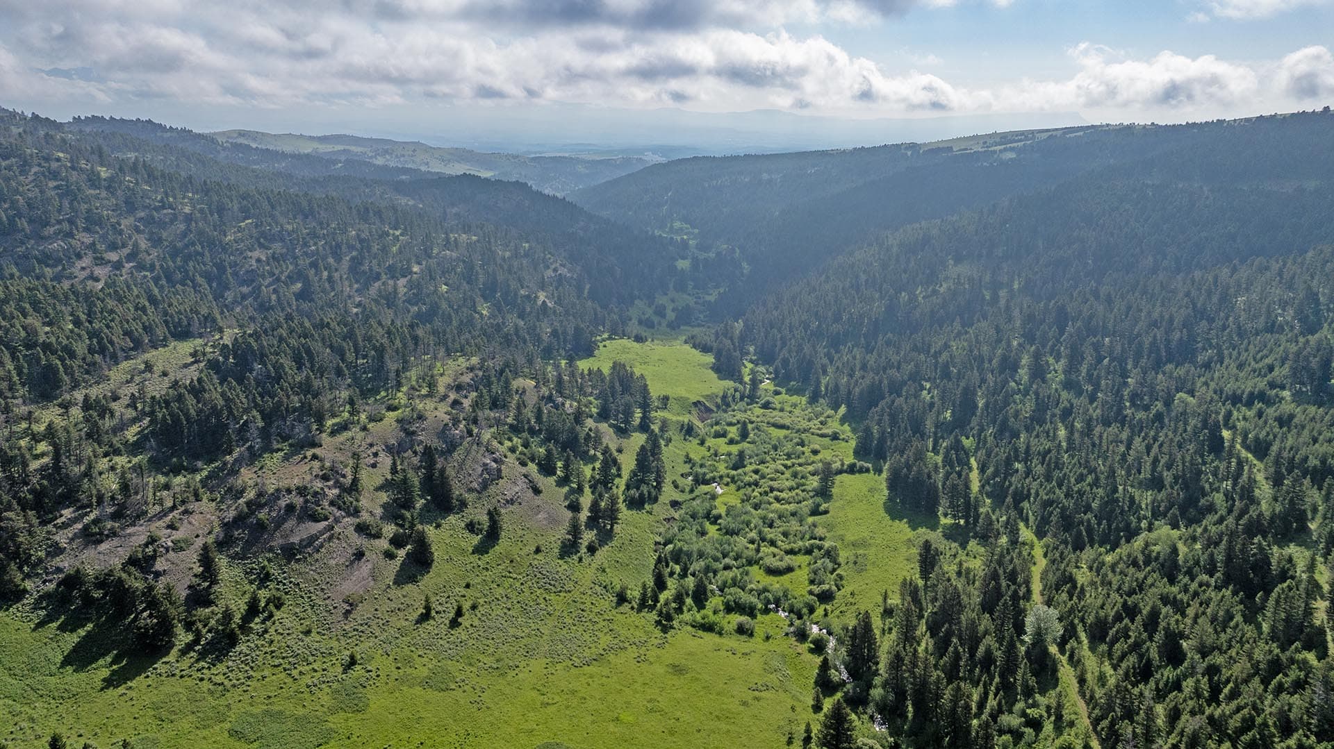 timbered mountain land montana north bridger hunting retreat