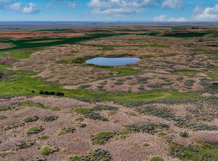 washington land for sale kingfish ranch