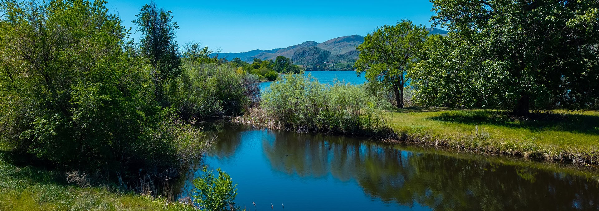 Calm river lined with green trees and grassy banks, with hills in the distance under a clear blue sky.