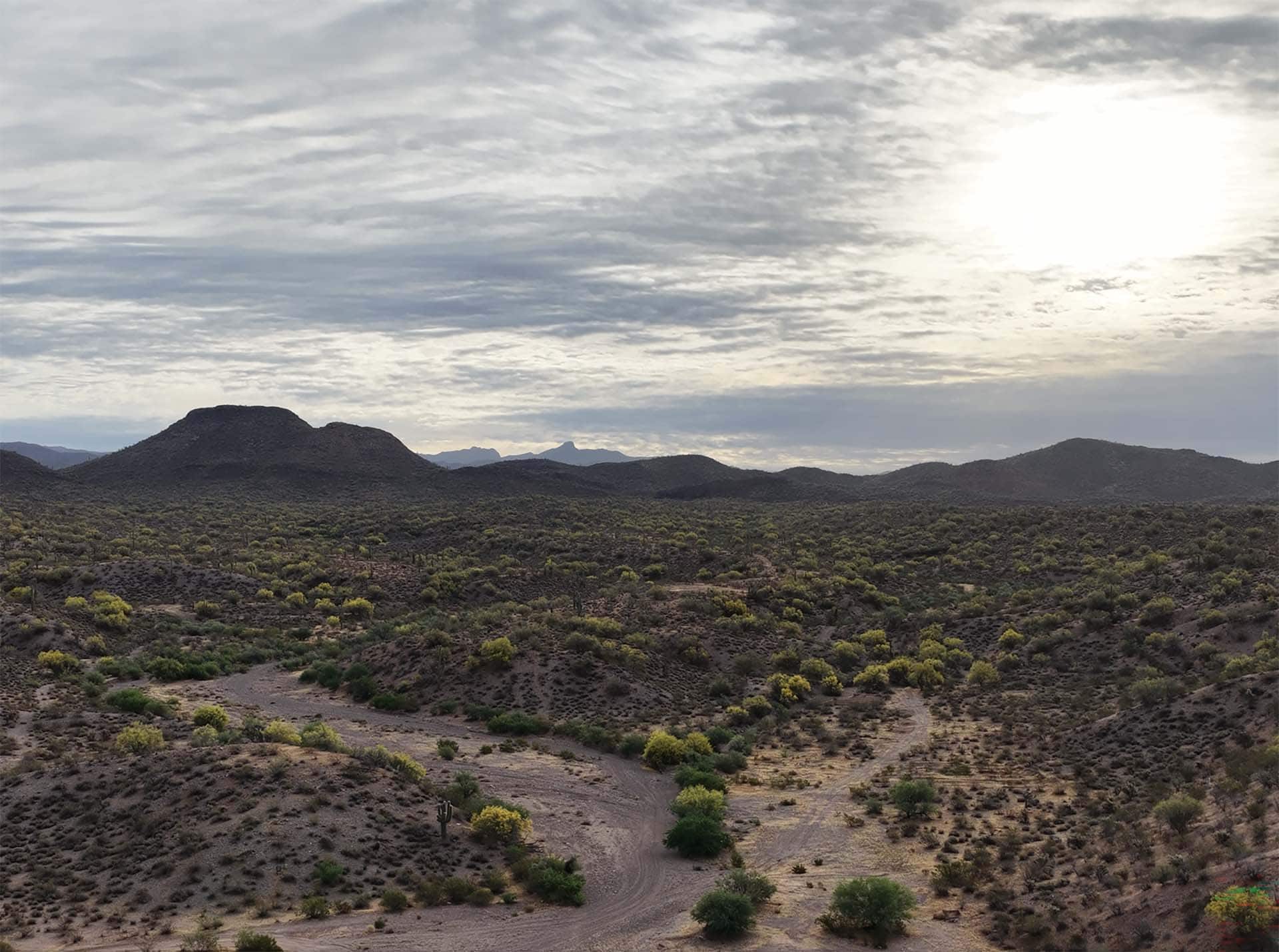 water rights arizona rogers wash gold mine