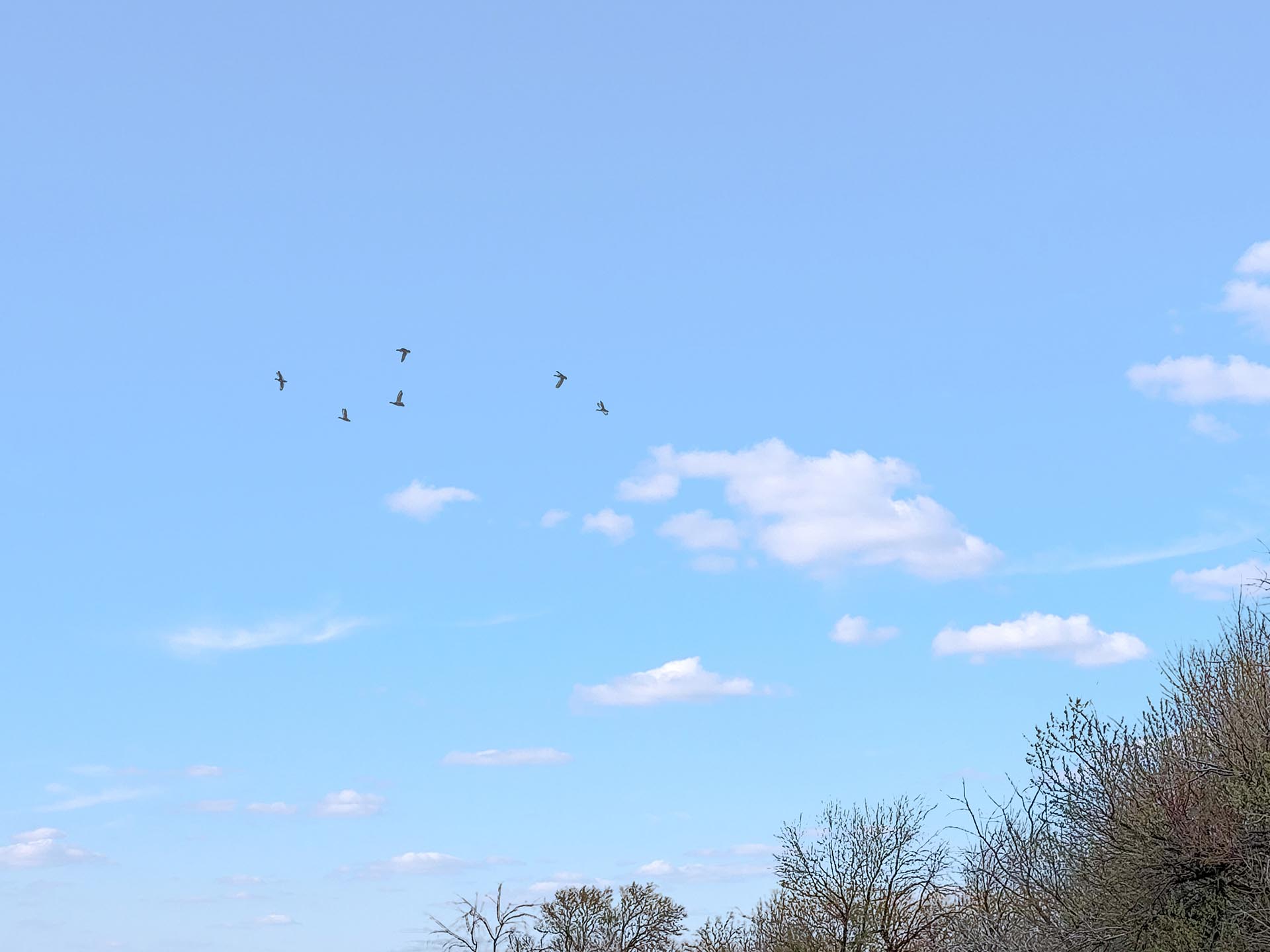 waterfowl hunting property for sale idaho oxbow crescent