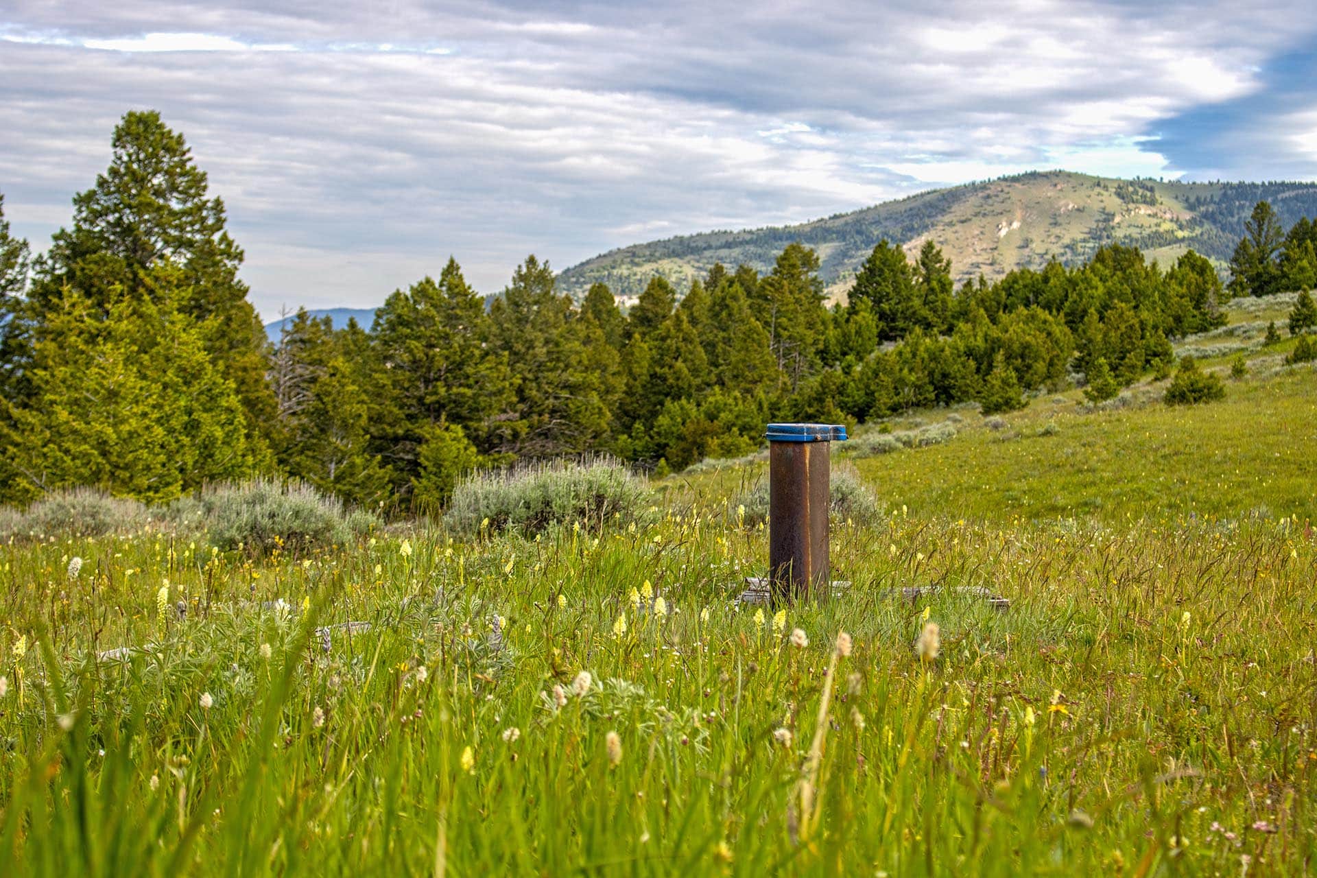 wildflower meadow land montana north bridger hunting retreat