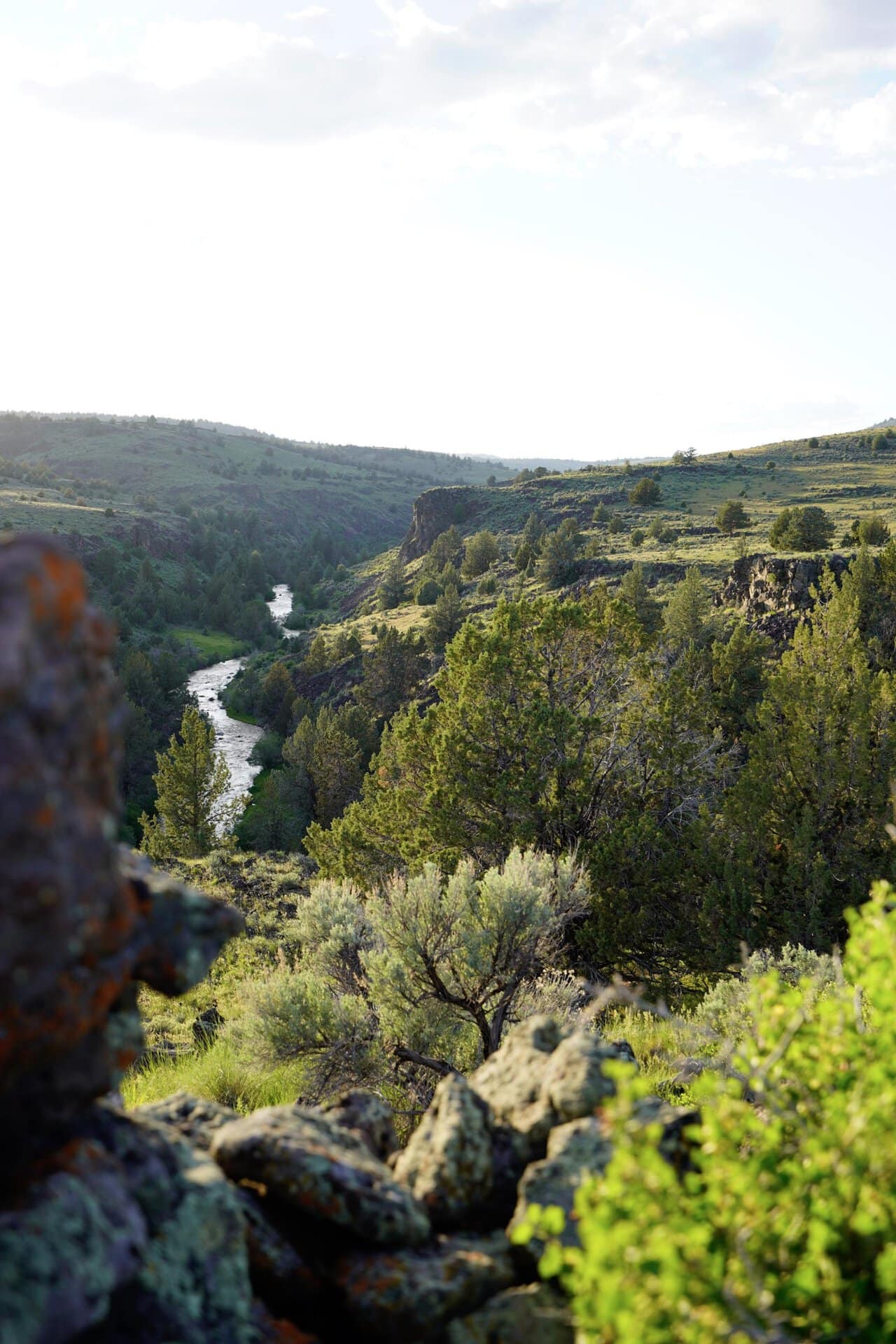 Rugged rocky foreground; a winding river runs through a green canyon with trees and hills.