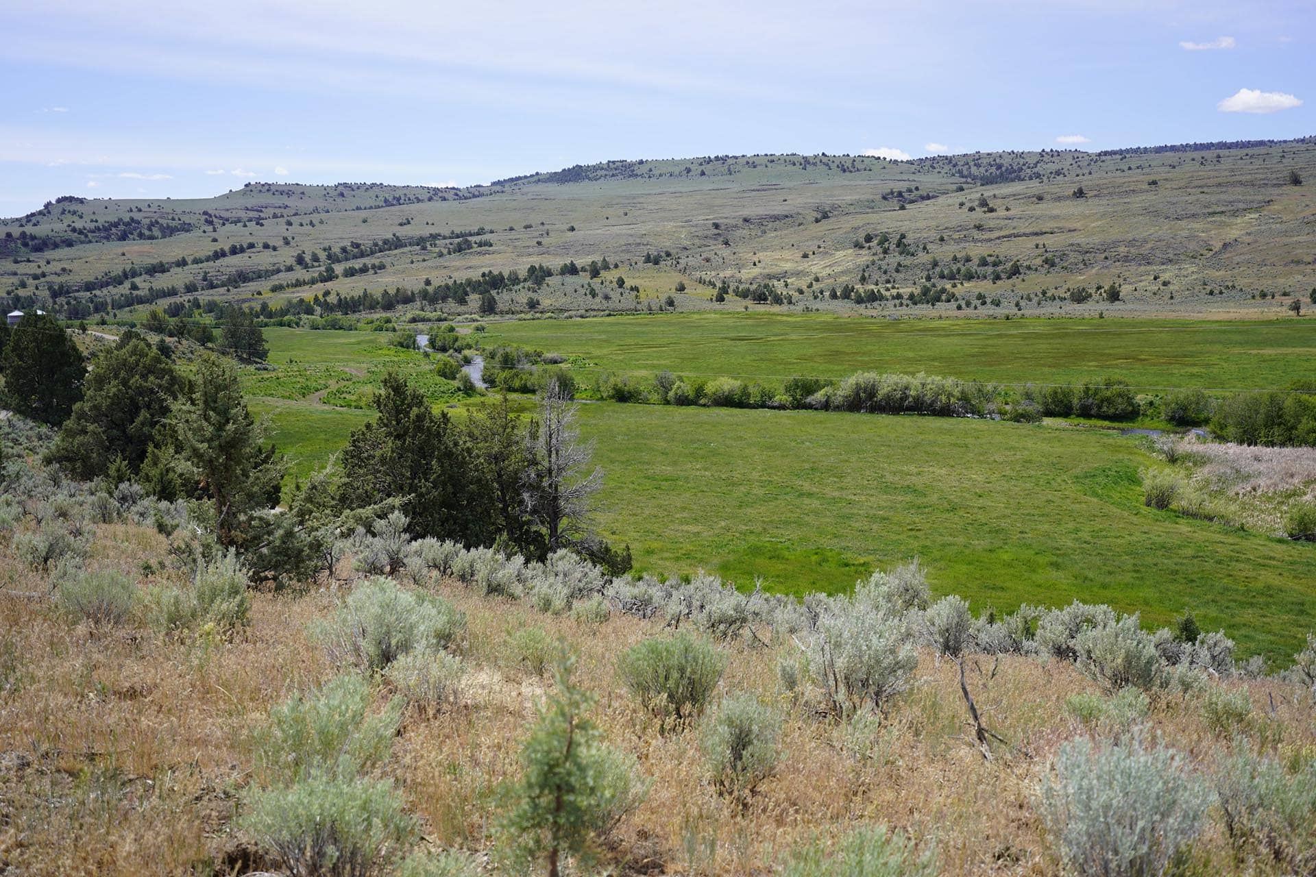 Wide landscape of rolling grassy hills, green meadows, and scattered trees under a blue sky.