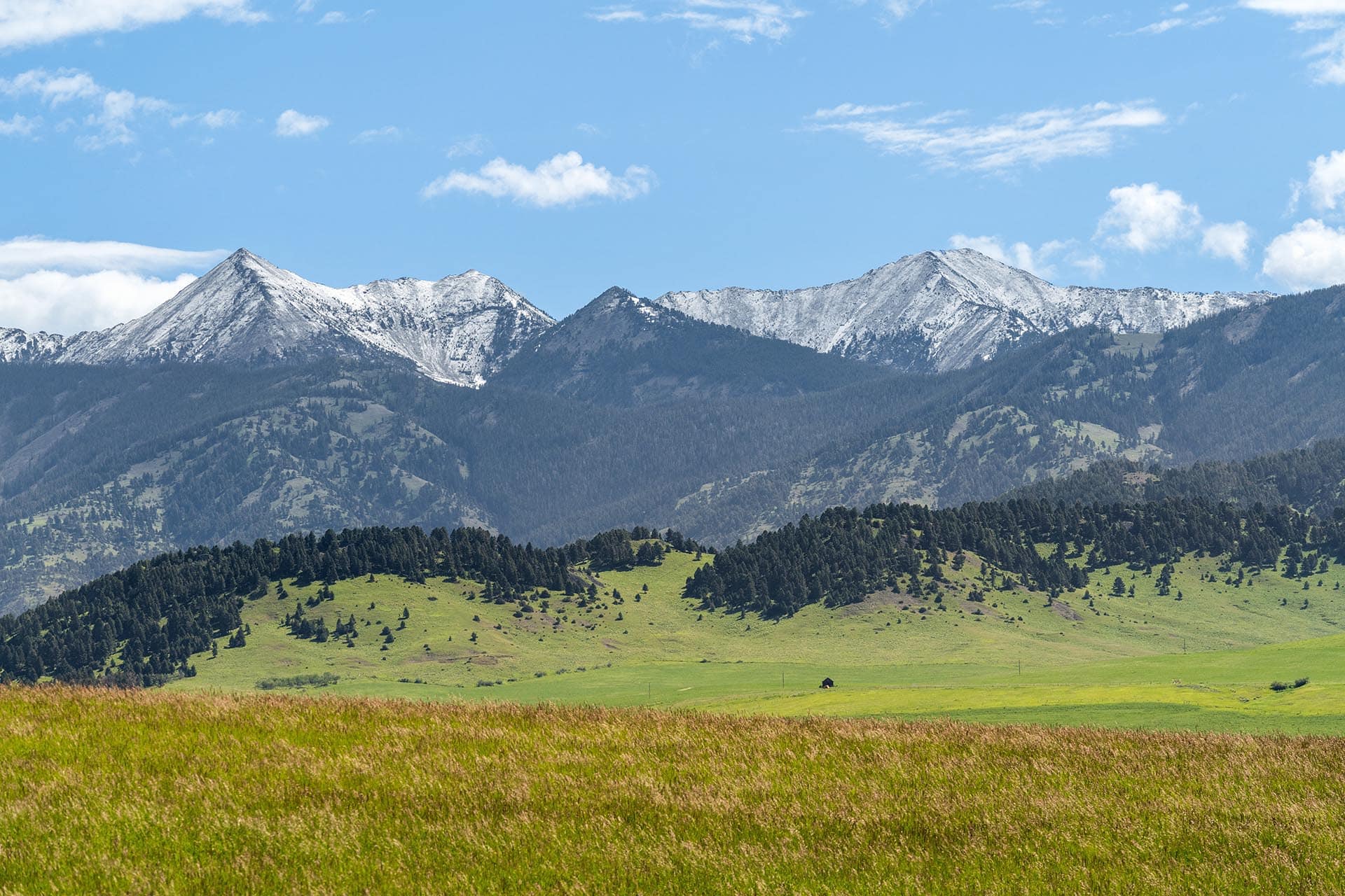 wow montana north fork horse creek