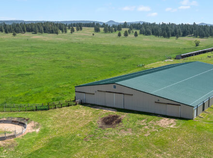 wyoming equestrian property for sale piney ridge timber ranch