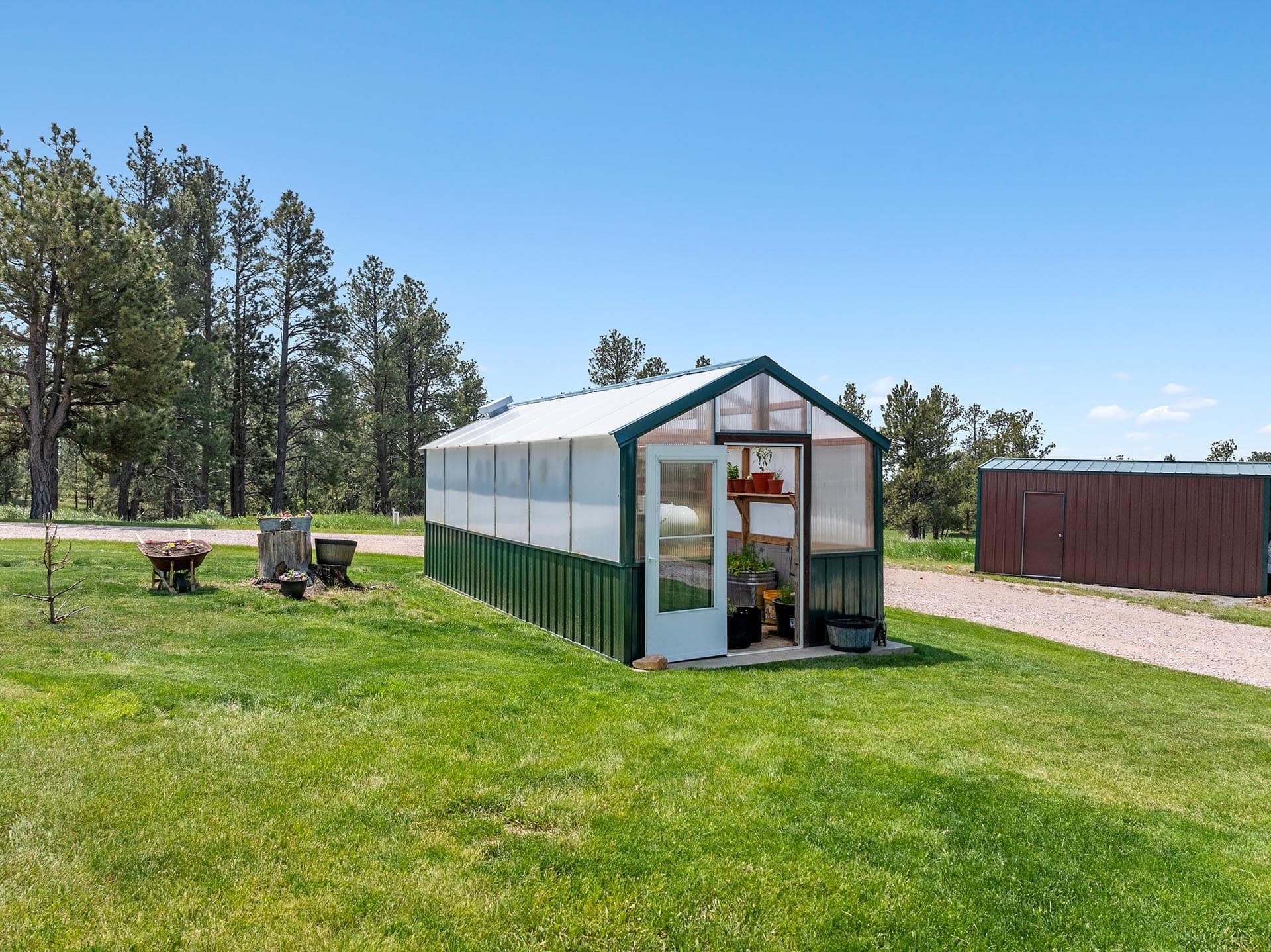 Greenhouse with white panels and green trim, door open to shelves with potted plants, on a grassy lawn with a red shed nearby under a blue sky.
