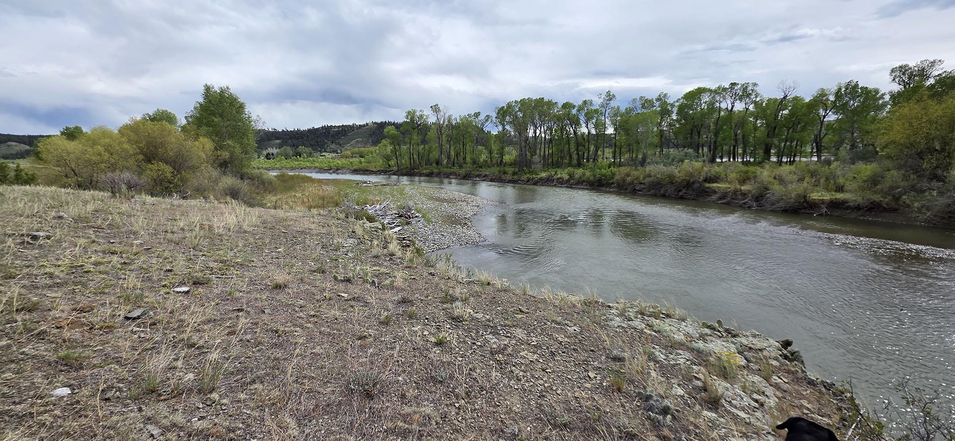 yellowstone river frontage land for sale montana springtime ranch on the yellowstone river view 33 montana springtime ranch on