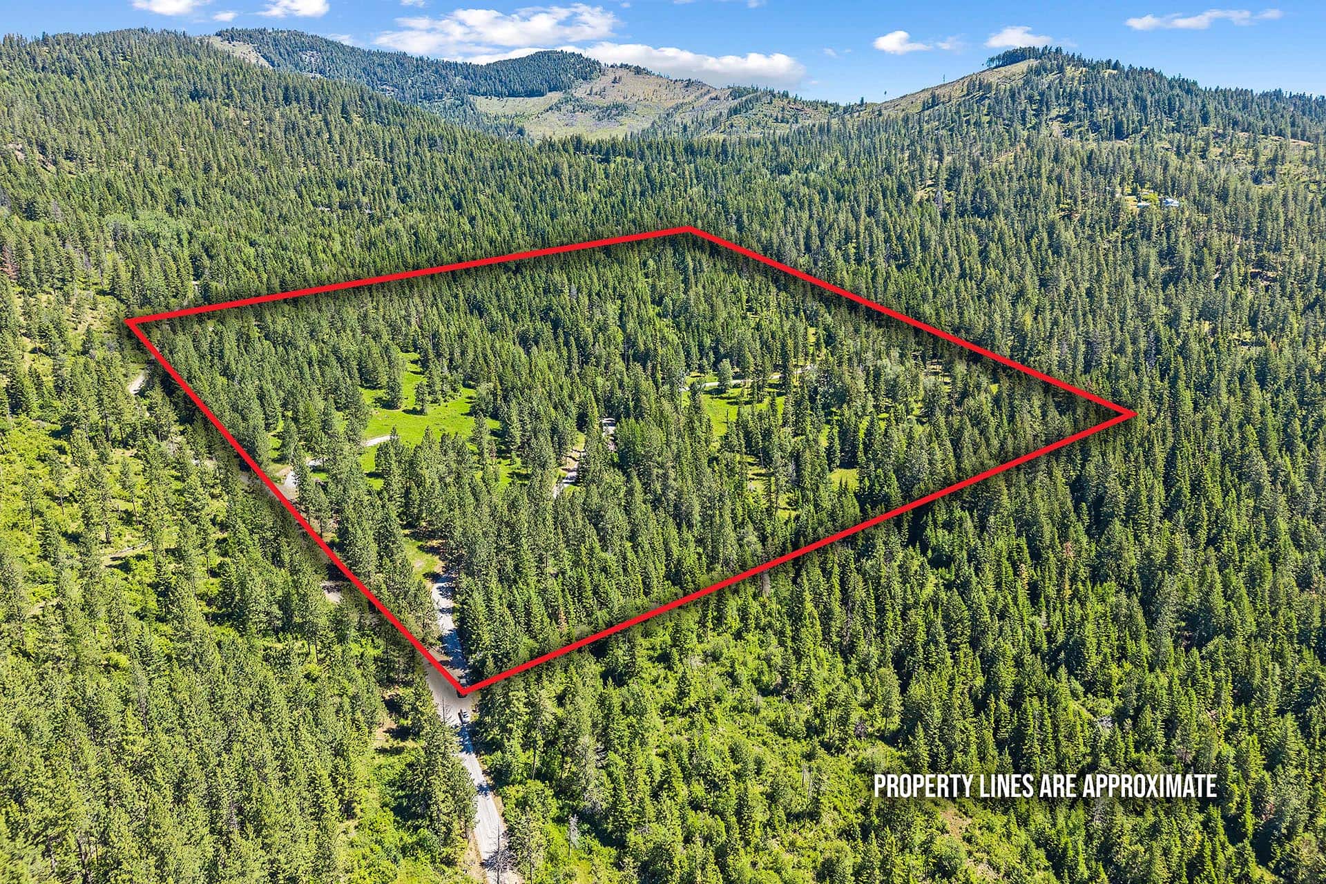 Aerial view of a dense pine forest with a large red outlined property boundary across the trees, hillside in background, and a watermark that reads 'PROPERTY LINES ARE APPROXIMATE'.