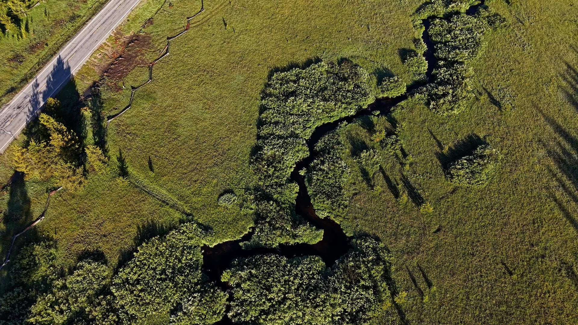 Aerial view of a green countryside with a winding creek through trees and a road along the left edge.