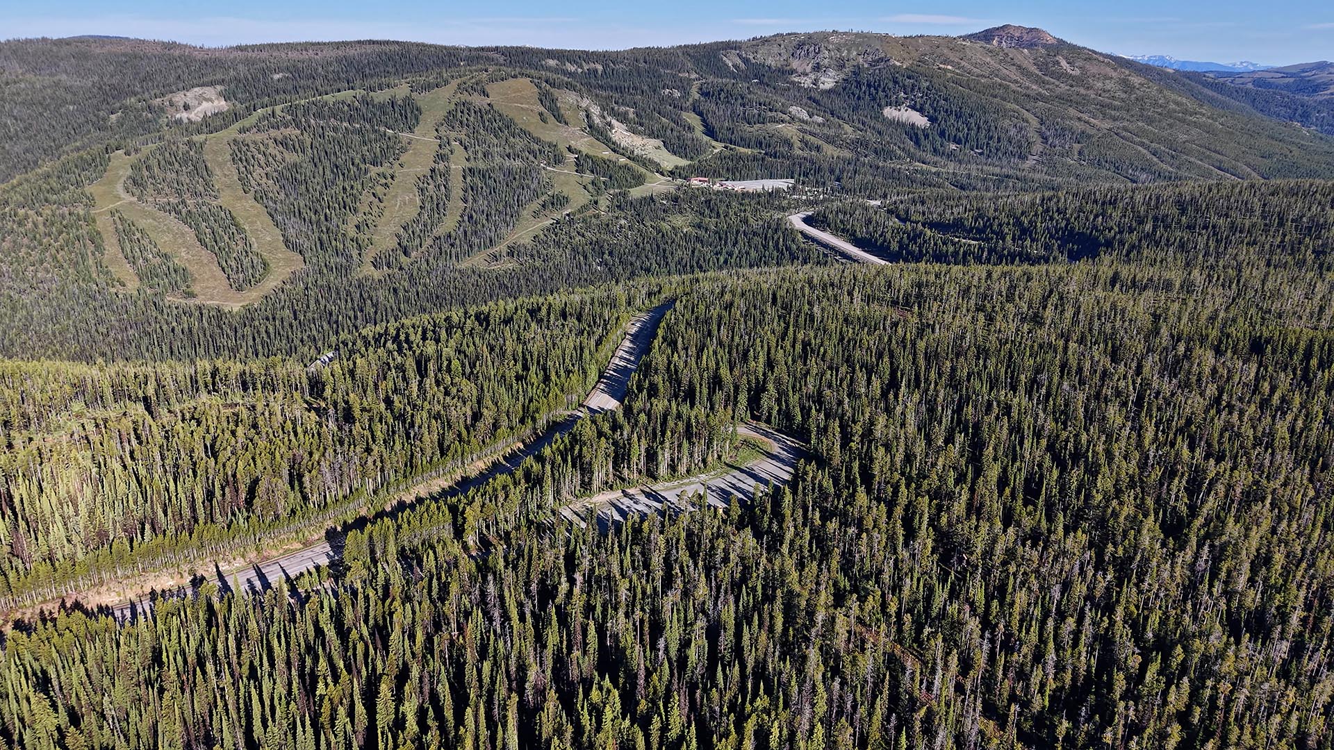 Aerial view of forested mountains with a winding road cutting through grassy, terraced slopes.