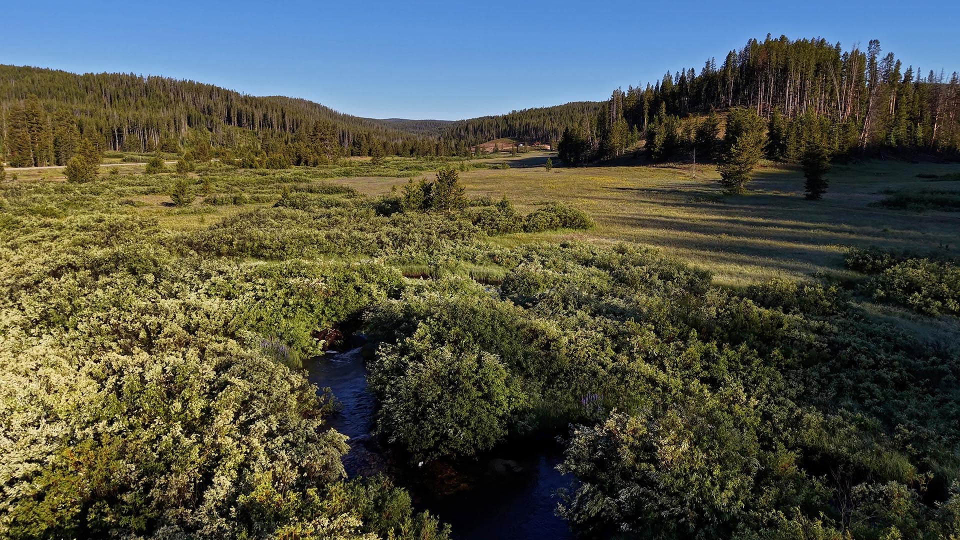 Expansive valley with green meadows, a winding stream, and forested hills under a clear blue sky in daylight