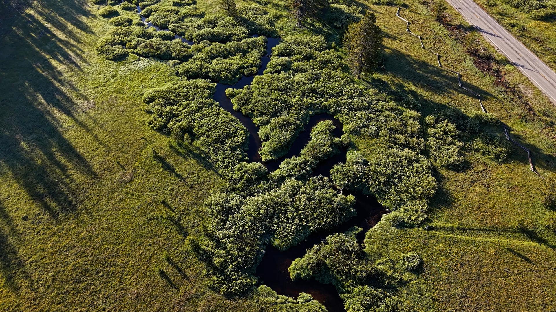 Aerial view of a winding waterway through dense green marshland with a road along the right edge.