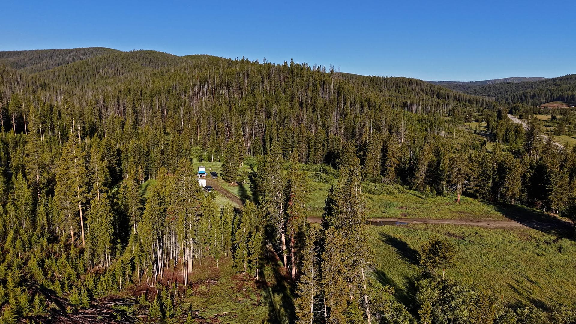 Aerial view of dense conifer forest on rolling hills with a small clearing containing vehicles near a dirt road.
