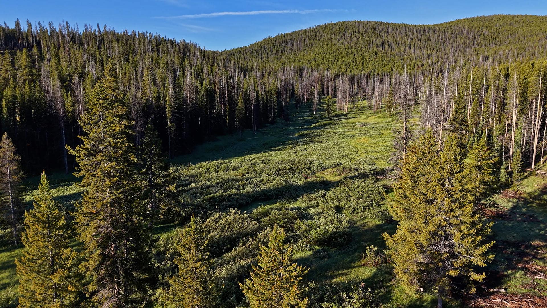 Lost Trail Ski Resort Montana Lost Trail Ski Hill Retreat