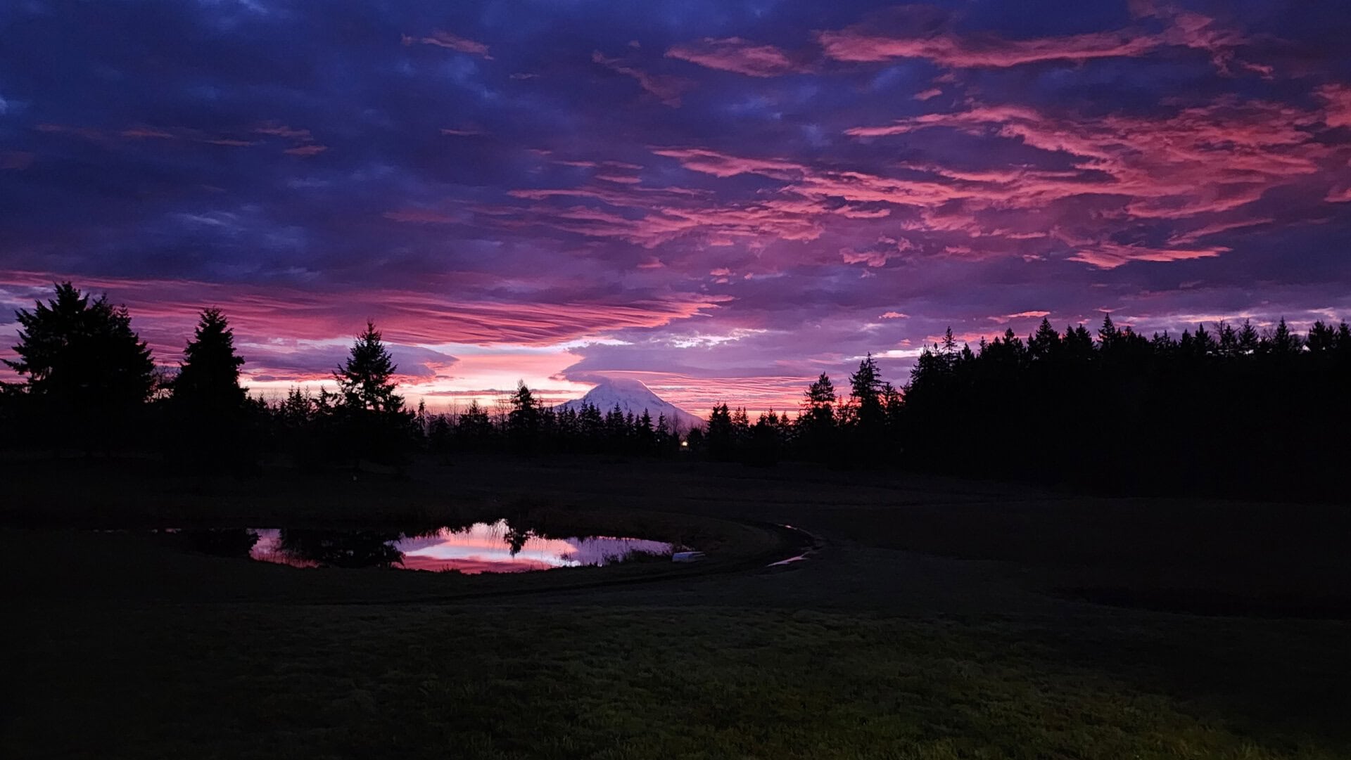Silhouetted pine trees along a lake at dusk with a pink-purple sunset and a distant snow-capped mountain.