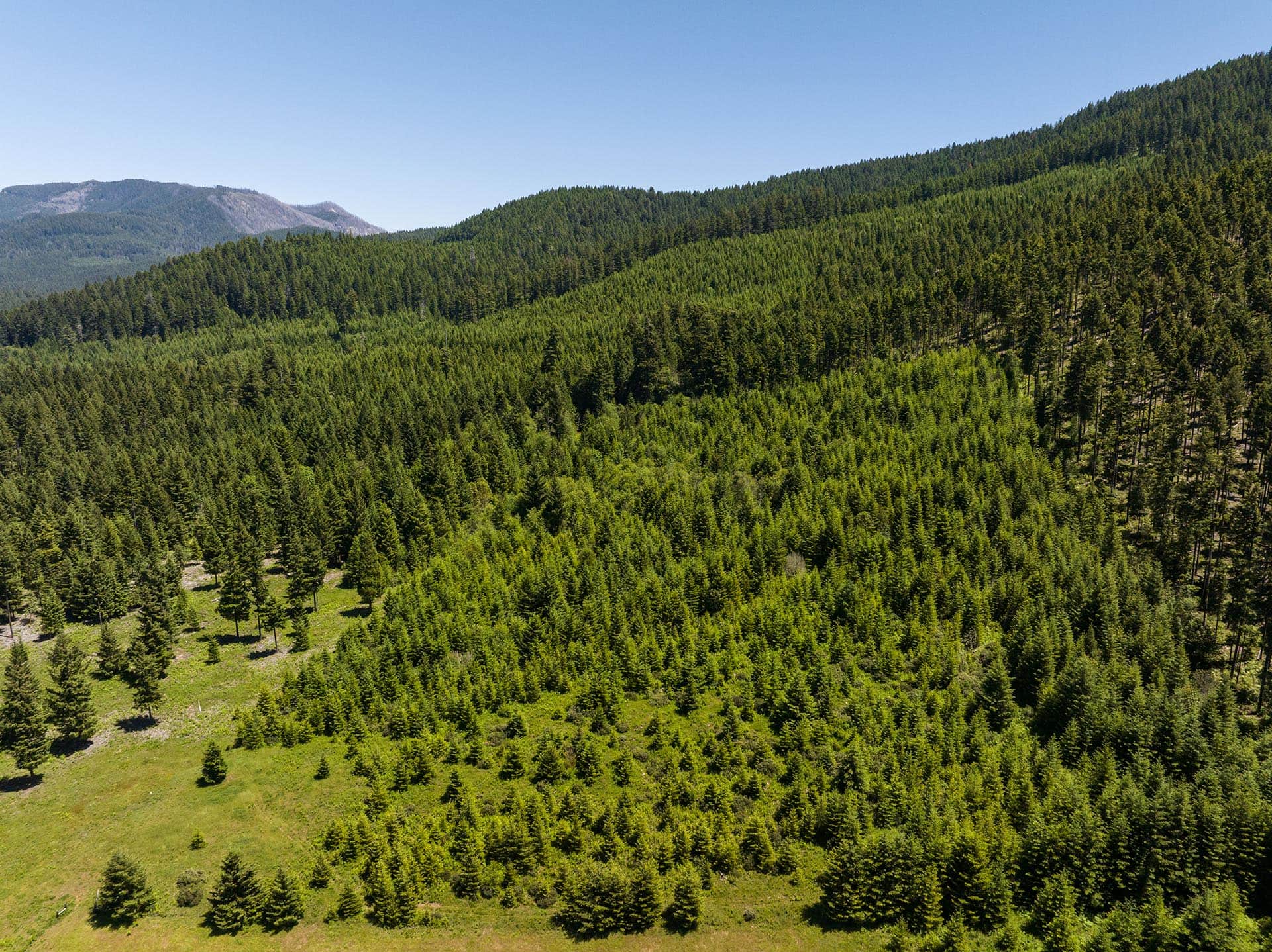 national forest oregon north fork ranch