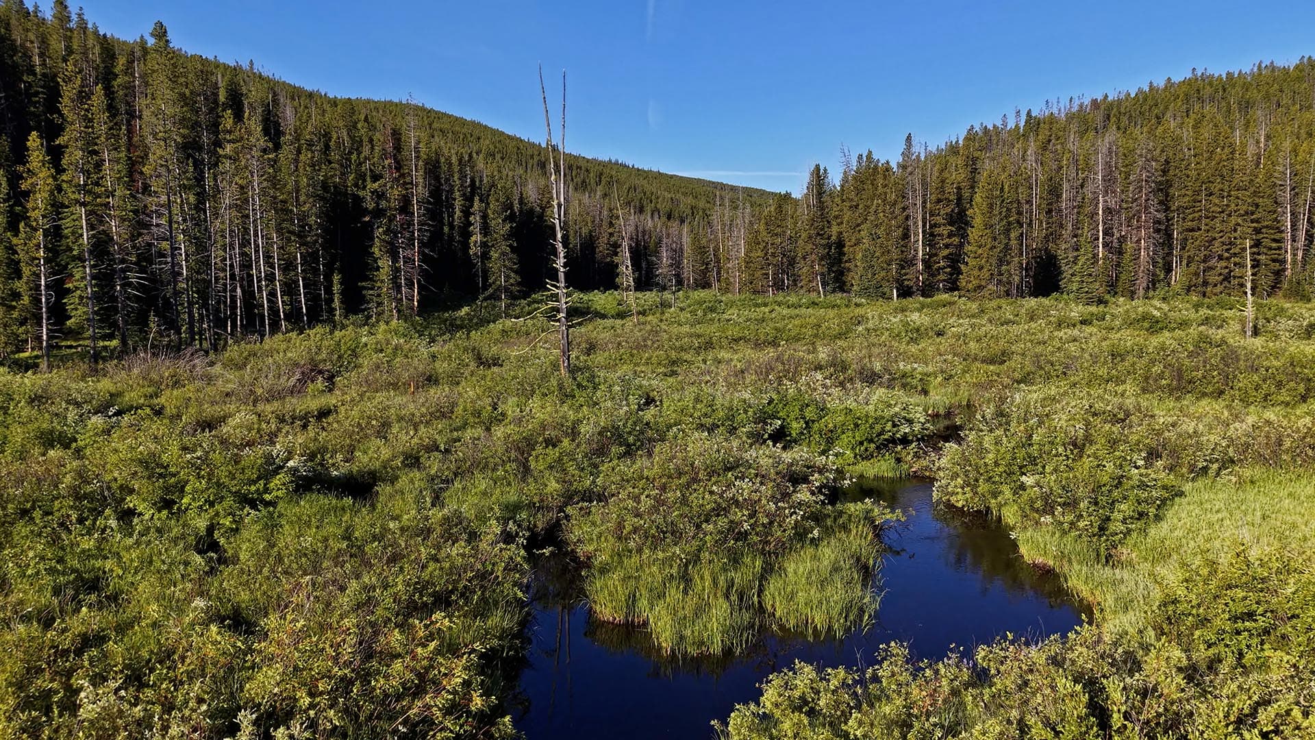 Properties close to ski resorts for sale Montana Lost Trail Ski Hill Retreat