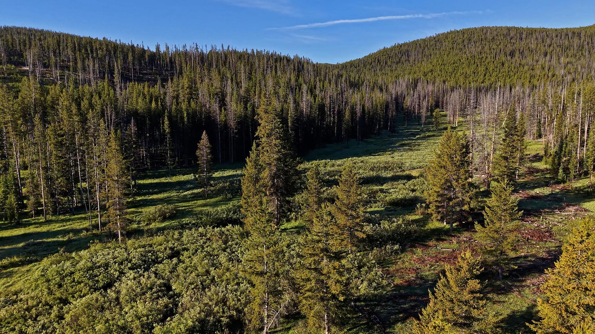 Properties with fishing access Montana Lost Trail Ski Hill Retreat