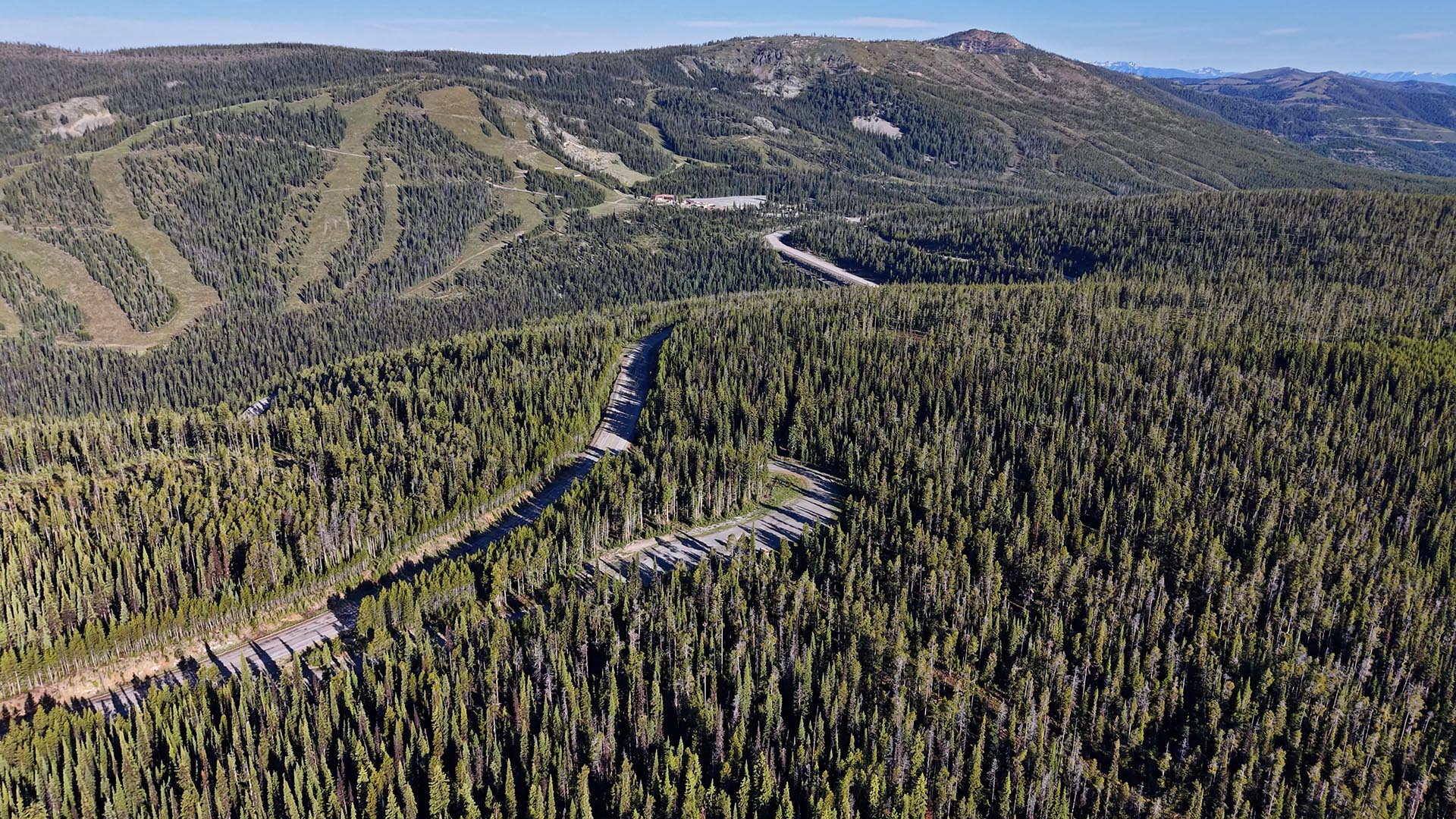 Aerial view of a winding road through dense pine forest with rolling hills and distant mountains under a clear blue sky.