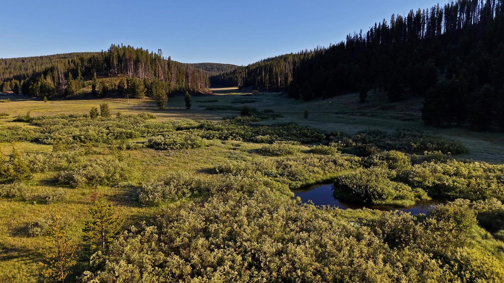 River front properties for sale Montana Lost Trail Ski Hill Retreat