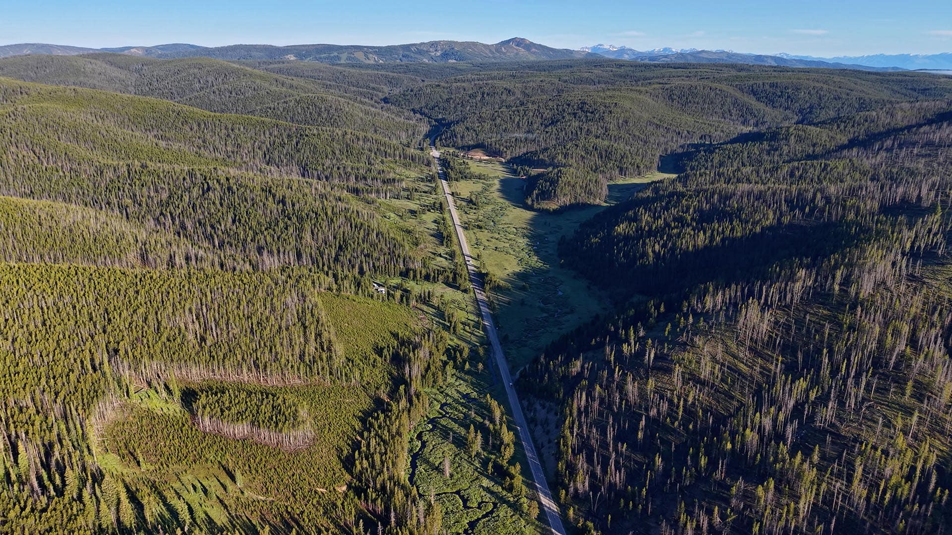 Aerial view of a long road winding through dense evergreen forest with open green meadows and distant snow-capped mountains on the horizon.