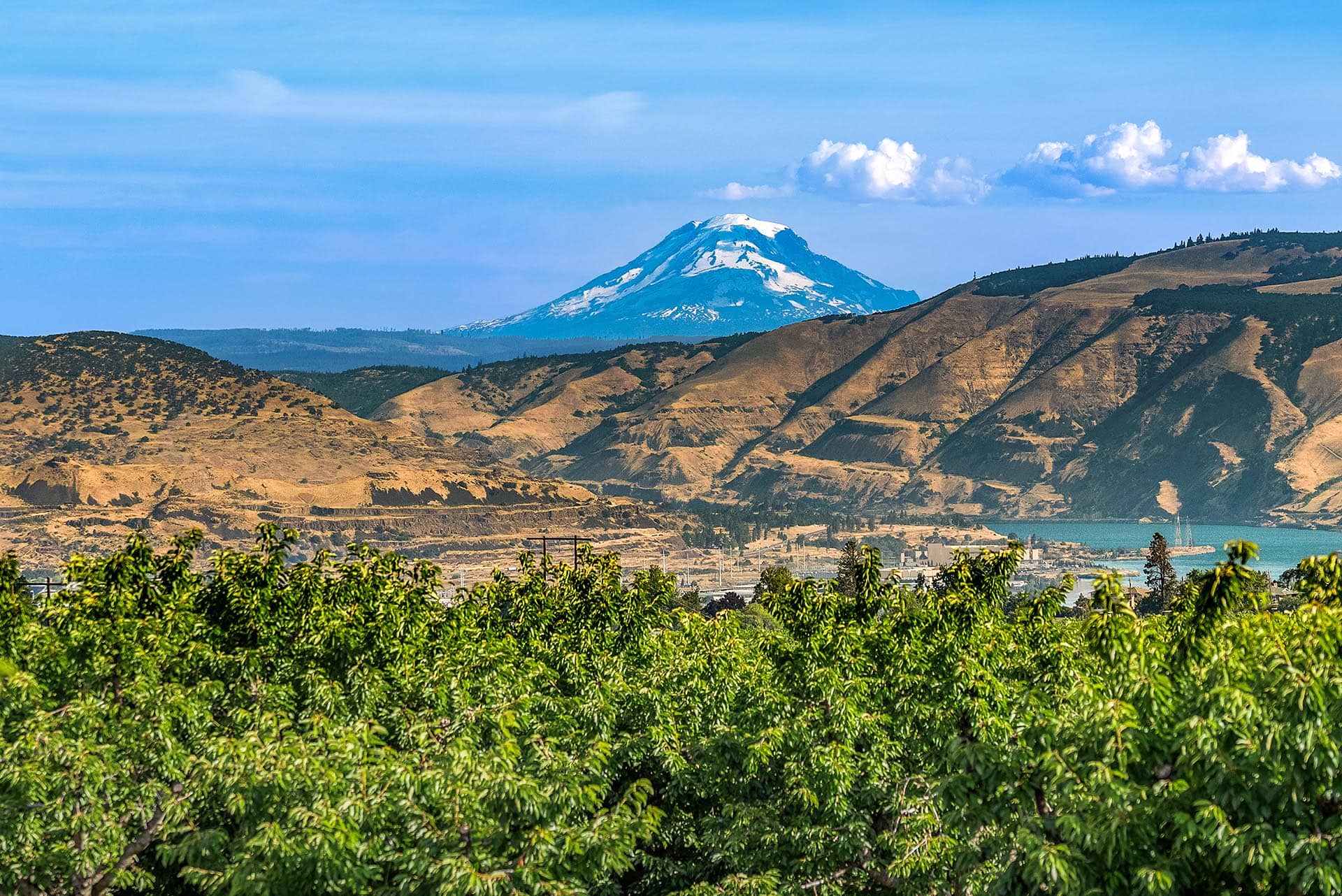 Snow-capped mountain rising behind brown hills, with green shrubs in the foreground and a lake under a blue sky.