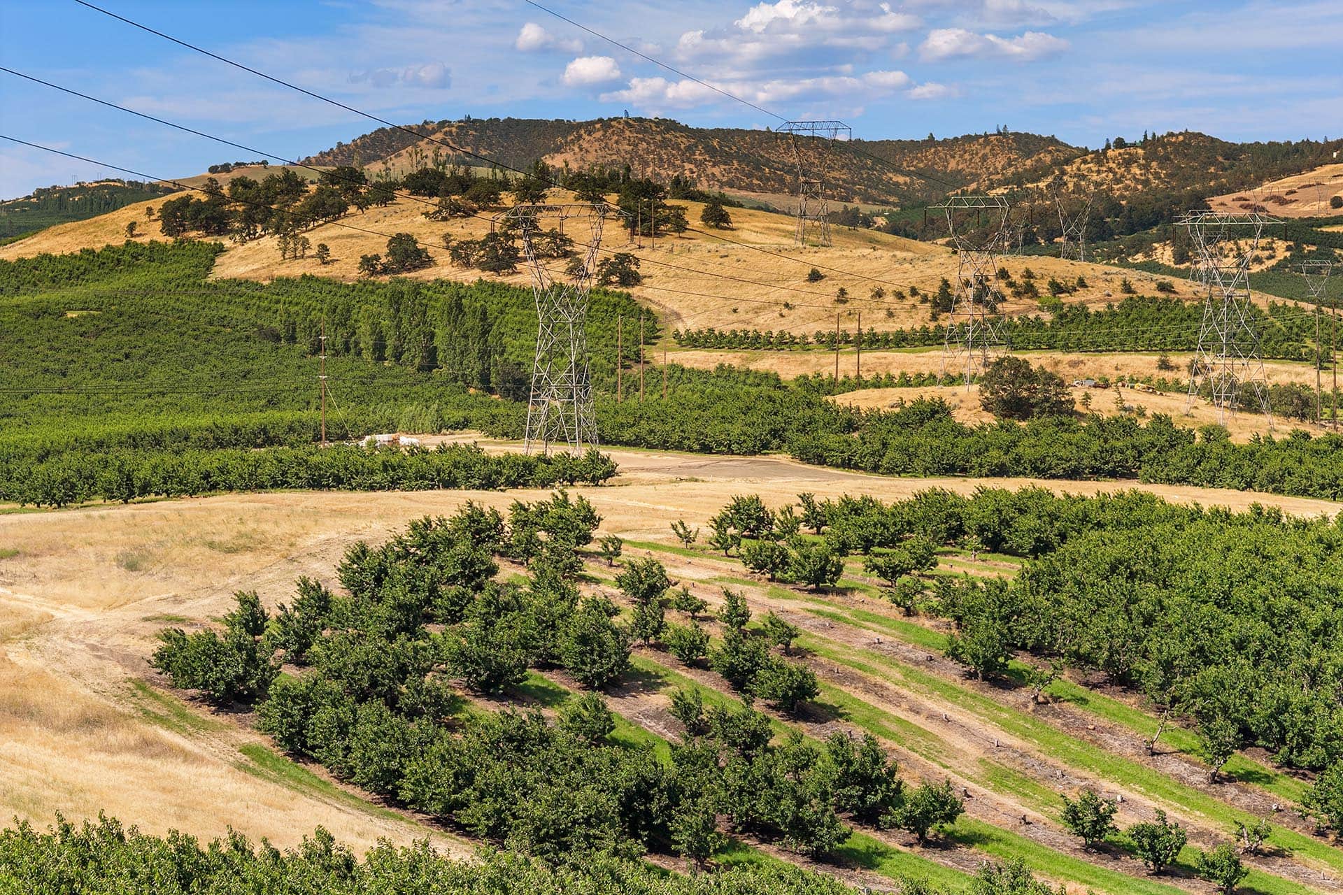 Aerial view of rolling hills, orchards, and tall electrical transmission towers crisscrossing the landscape.