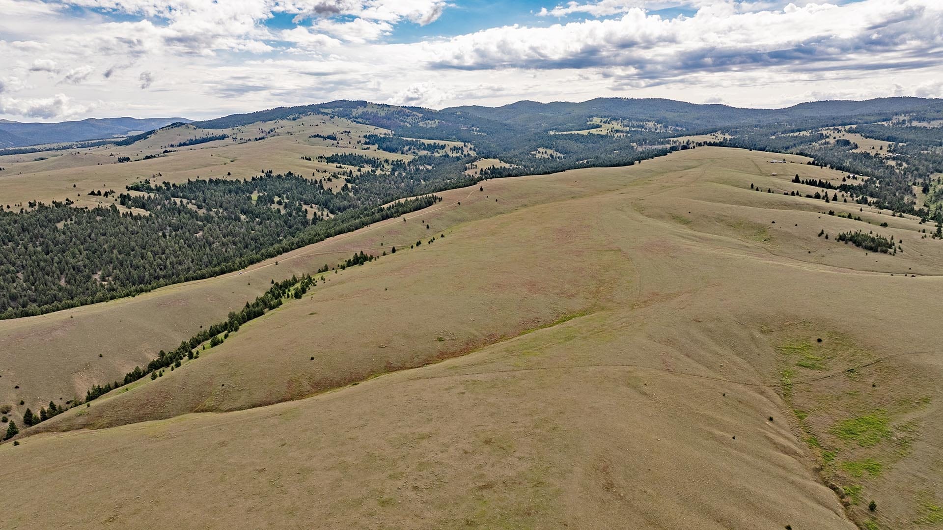 ag production land for sale montana spotted dog retreat