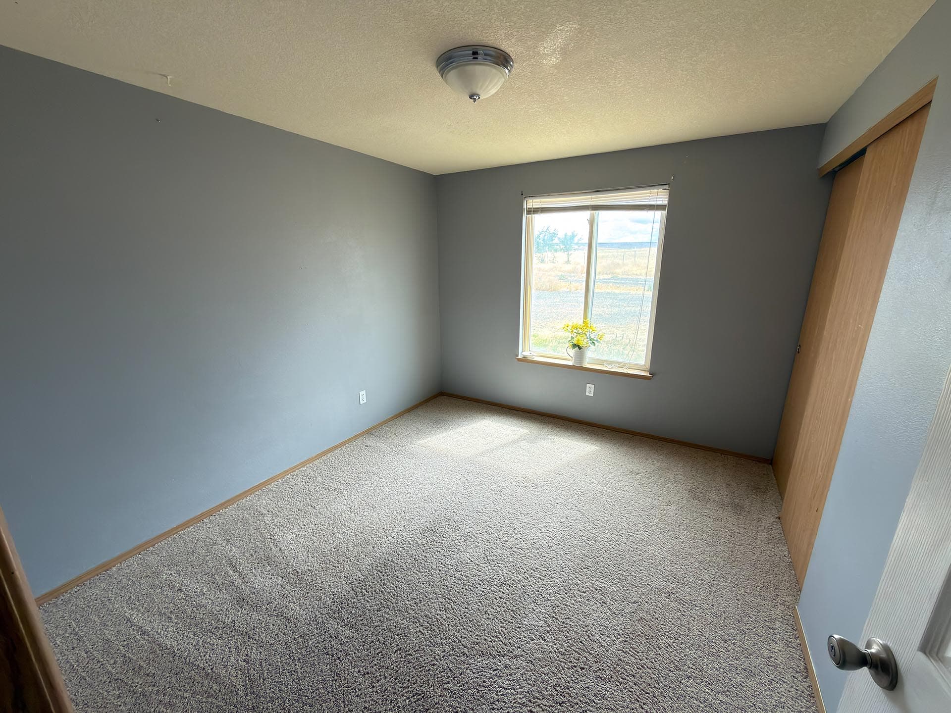 Small empty bedroom with blue-gray walls, beige carpeting, and a window with blinds; a potted plant sits on the window sill near the corner of the room.