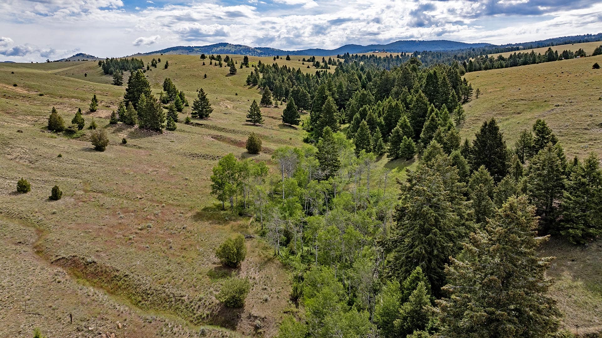 aspen grove land montana spotted dog retreat