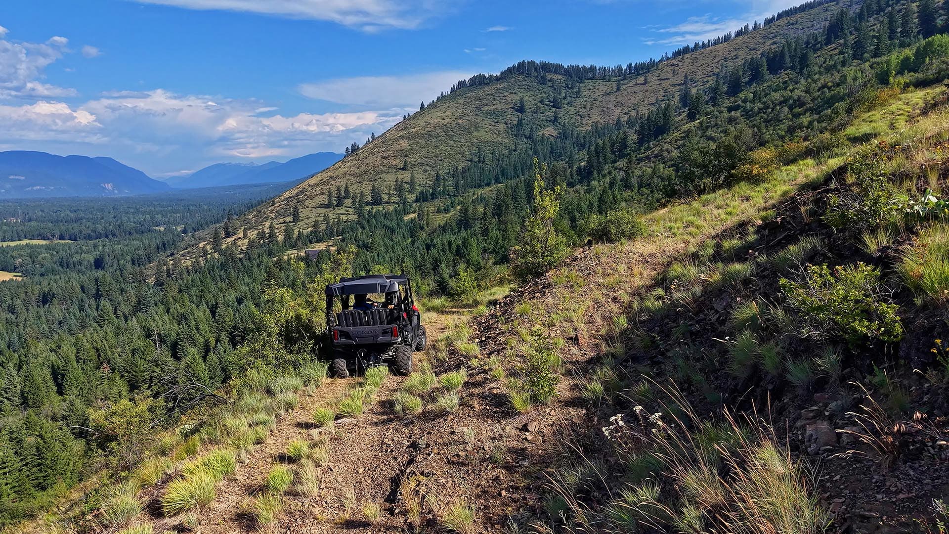 Off-road utility vehicle on a rocky hillside trail with a pine forest and distant valley under a blue sky, mountain range in the background.