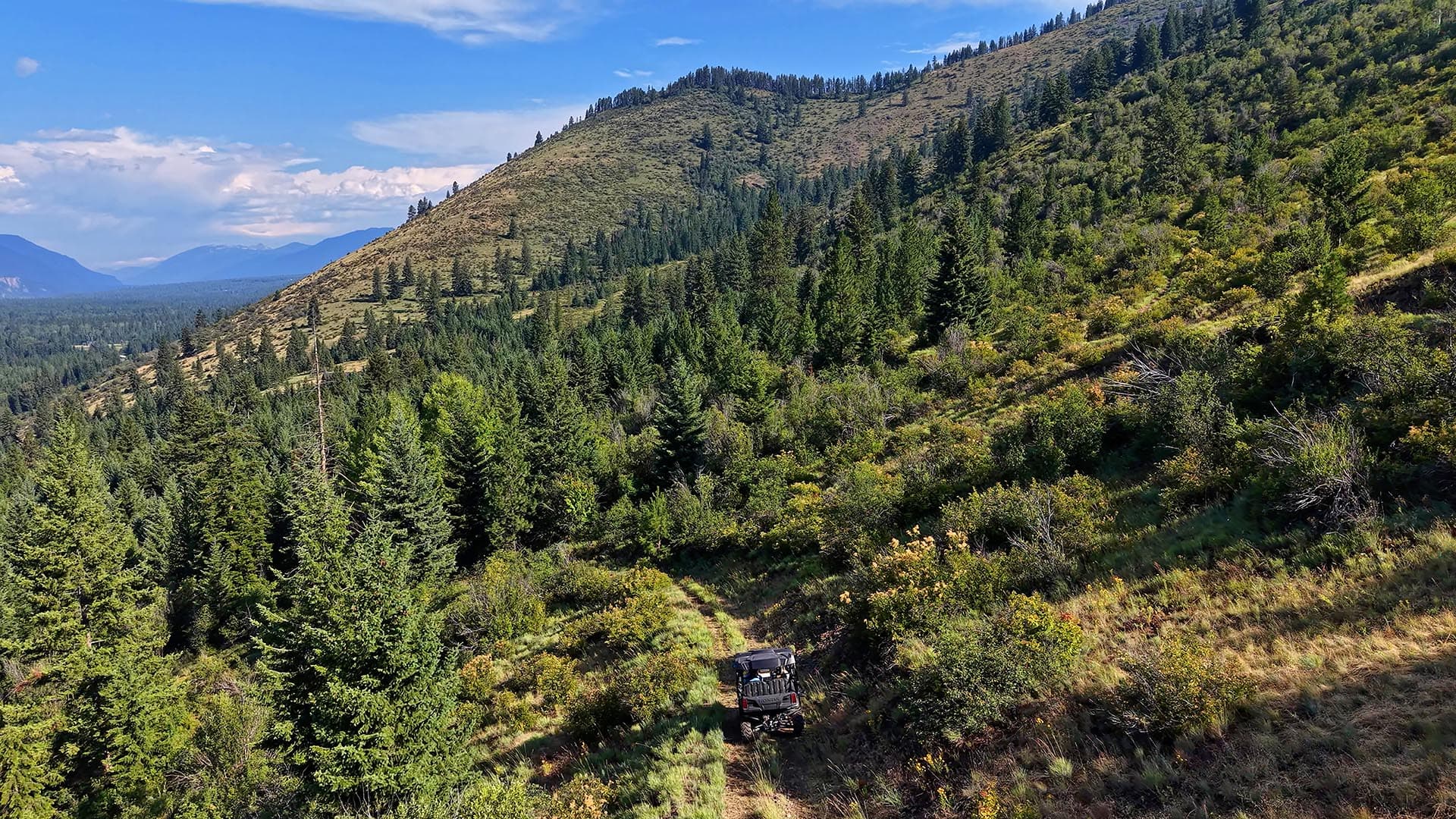Off-road vehicle on a dirt trail winding through a forested mountain slope with pine trees and distant blue peaks under a clear sky.