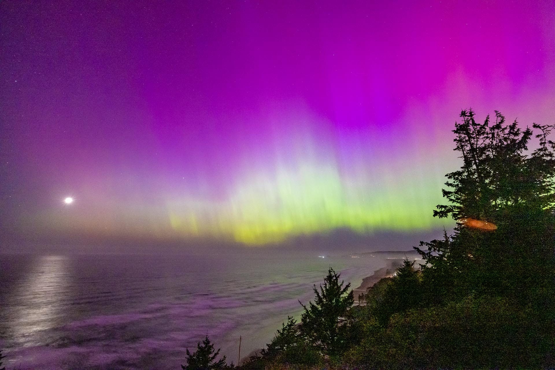 Aurora borealis over a calm sea at night with silhouetted pine trees on the right and a bright moon to the left.