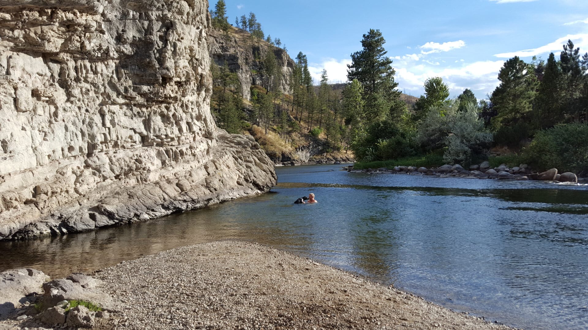 Person swimming with a dark dog in a calm river beside a rocky cliff and forest under a blue sky.