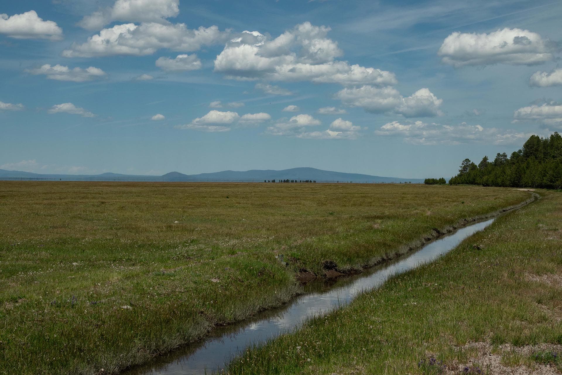 canal clouds oregon bar y ranch & pivots